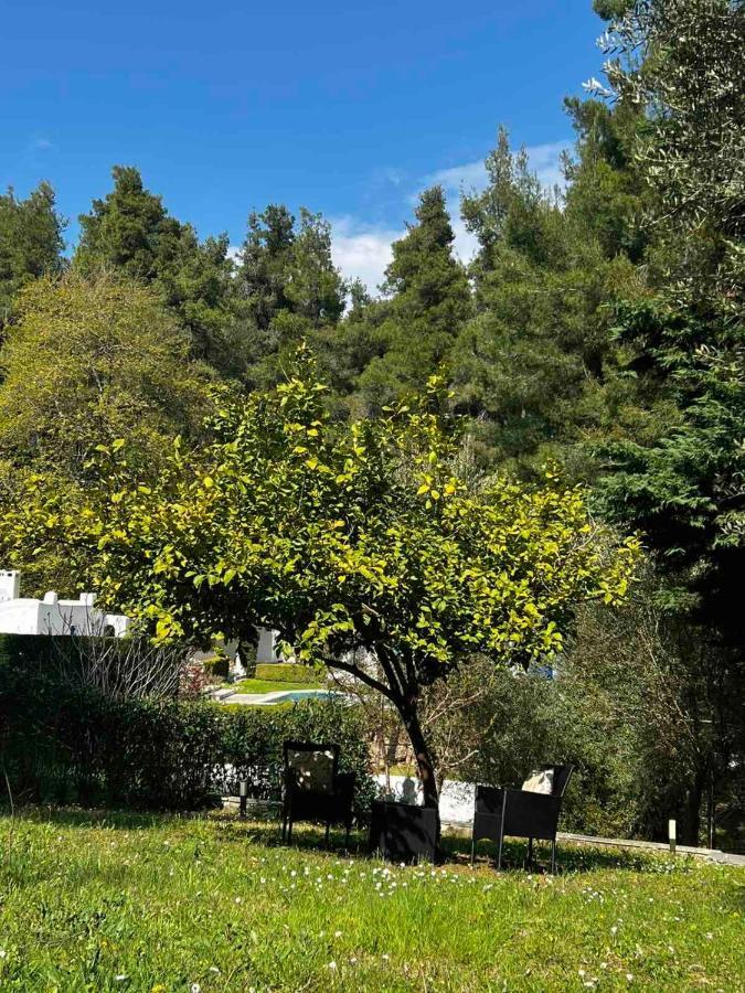 Sani Garden House Villa Exterior photo
